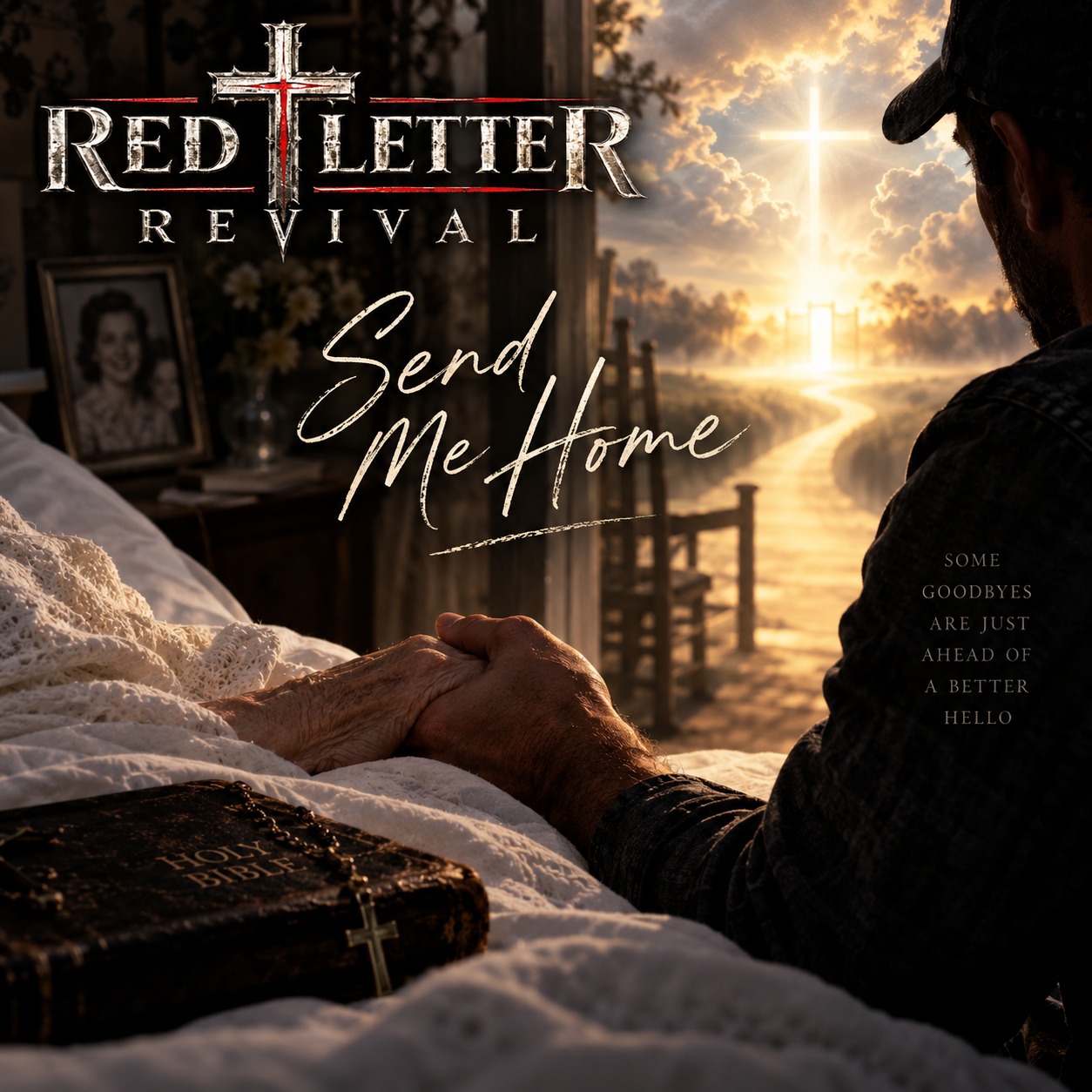 Original cover artwork for Send Me Home